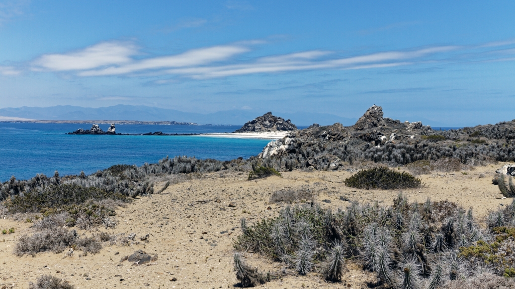 03 - La Serena (3) - Isla Choros.jpg